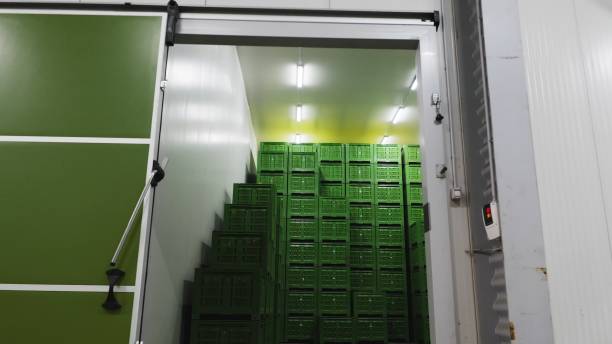Iced to Perfection: Crafting Cold Storage Warehousing Solutions
